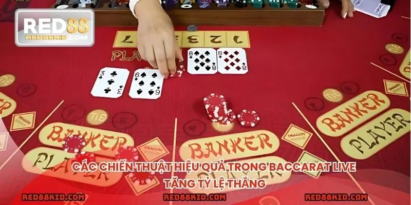 Bí kíp chơi Baccarat tăng tỷ lệ thắng