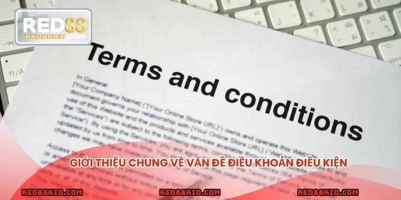 Sơ lược về vấn đề điều khoản điều kiện nhà cái