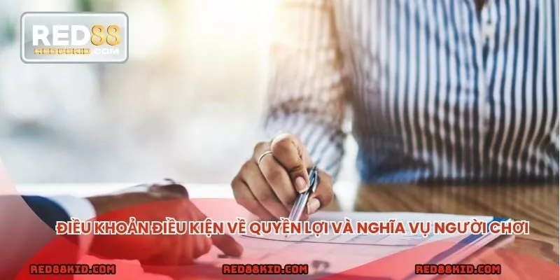 Nghĩa vụ và lợi ích của thành viên trong hệ thống