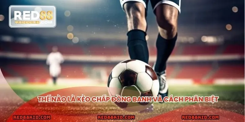 Giao diện hiển thị kèo chấp đồng banh