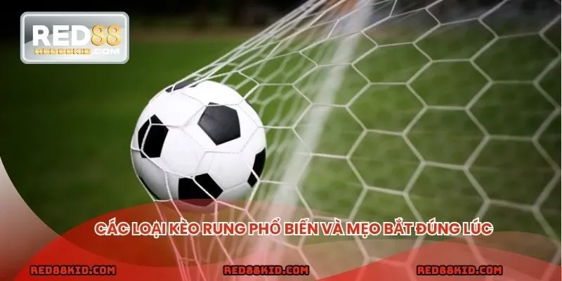 Mỗi dạng rung kèo đều có đặc điểm riêng