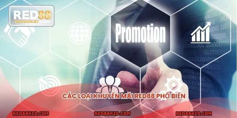 Đặc quyền khi là các VIP tại nhà cái