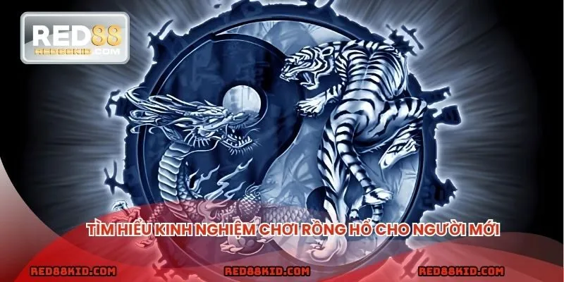Kinh nghiệm chơi rồng hổ