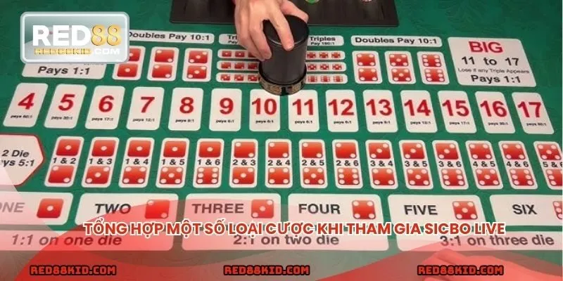 Vài loại cược khi tham gia Sicbo live
