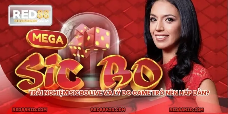 Điều cần biết rõ về live Sicbo