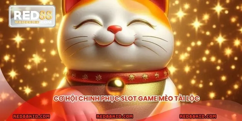 Chinh phục Mèo Tài Lộc dễ dàng
