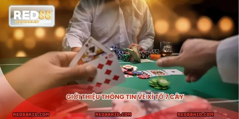 Giới thiệu Xì tố 7 cây là gì
